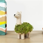 Plantenbakken
